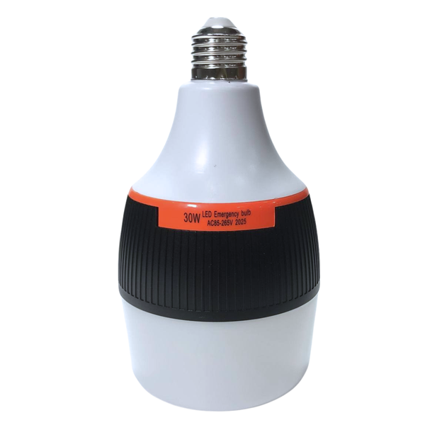 Акумуляторна LED-лампа B599 30W E27 &mdash; вигляд лампи спереду
