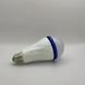 Акумуляторна LED-лампа FA-6920 20 W E27 &mdash; загальний вигляд